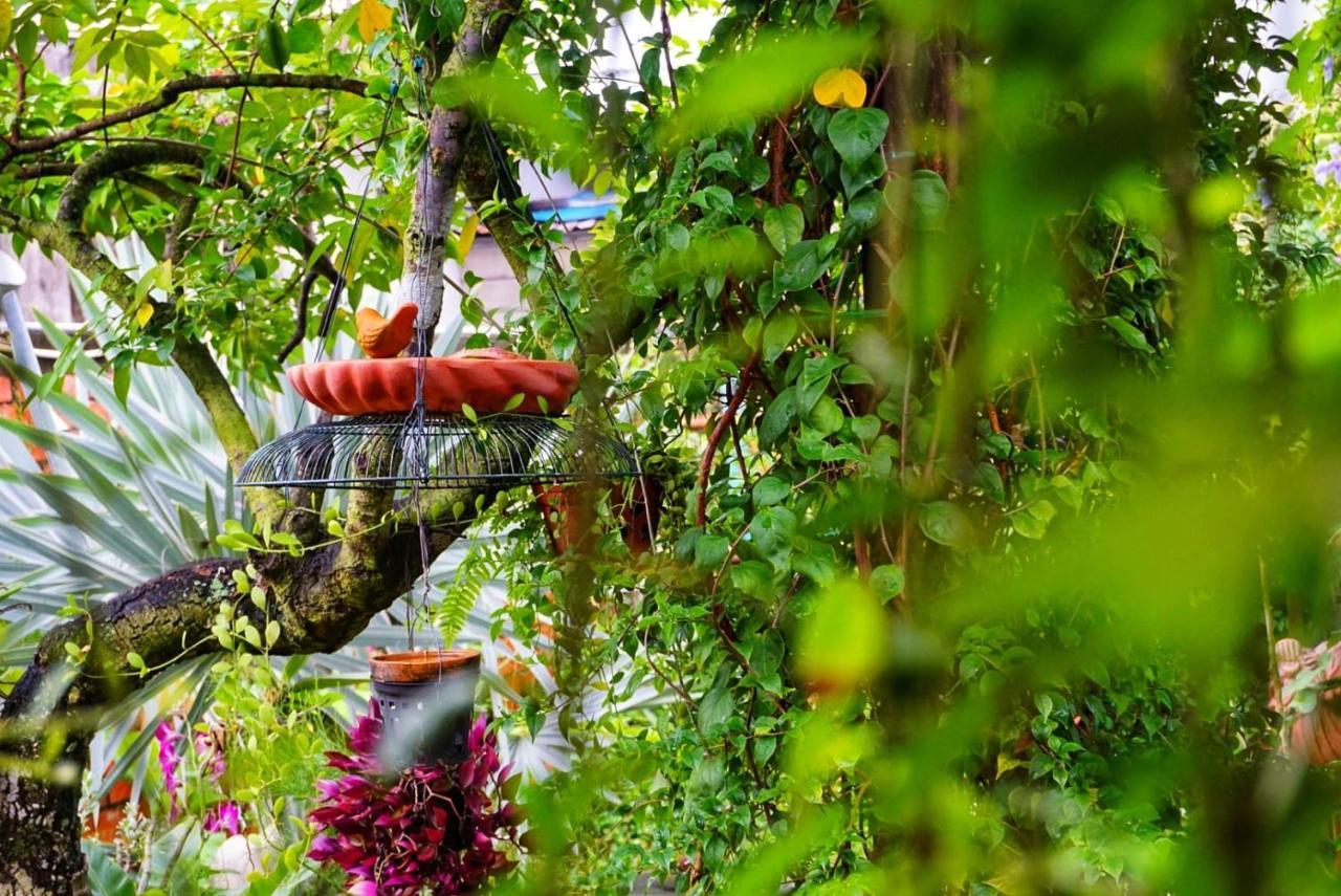 Mekong Pottery Homestay, Green-Friendly & Boat Tour Vĩnh Long 외부 사진