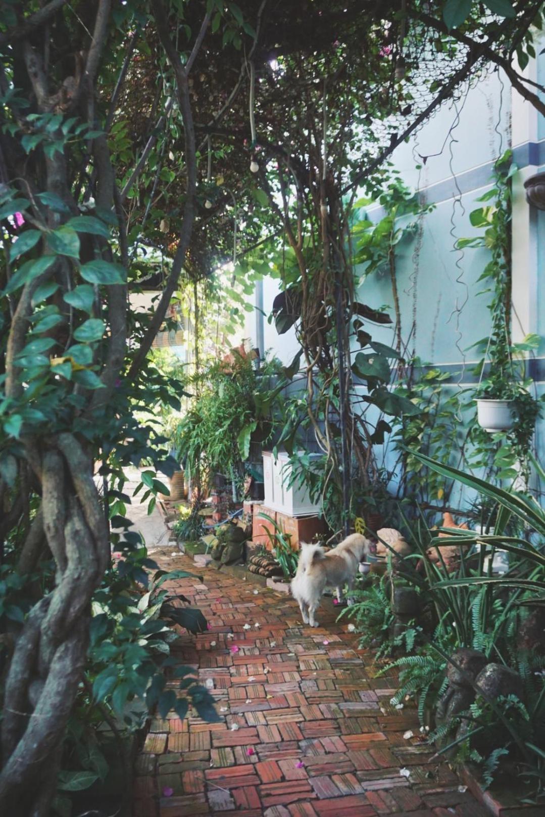Mekong Pottery Homestay, Green-Friendly & Boat Tour Vĩnh Long 외부 사진